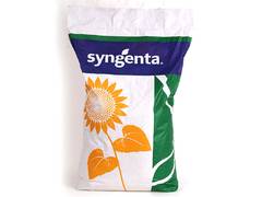 Семена подсолнечника Syngenta СУМИКО HTS под гранстар Купить