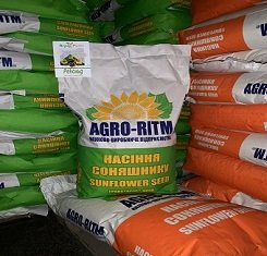 купить Семена подсолнечника, Рекольд