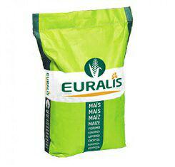 купить Семена кукурузы, Euralis, ЕС Сириус, ФАО 200