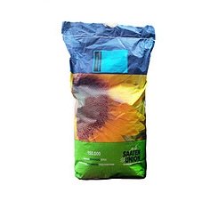 Семена подсолнечника ПАРАИЗО 102КЛ (PARAISO 102 CL)