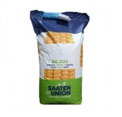 купить Семена кукурузы ОС 430, ФАО 440