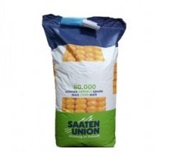 купити Насіння кукурудзи ОС 430, ФАО 440