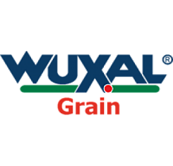 купить Вуксал, Грейн