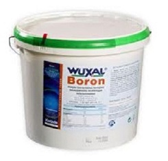 Вуксал, Борон