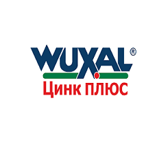 Вуксал, Цинк Плюс