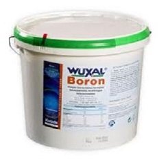 Вуксал, Борон