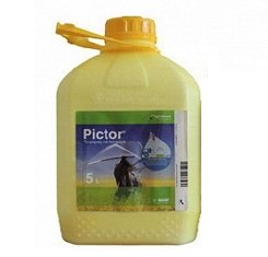купити Фунгіцид, BASF, Піктор