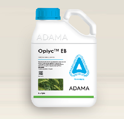 Фунгицид, Адама, Ориус1