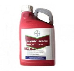 Протравитель, Bayer, Сценик1