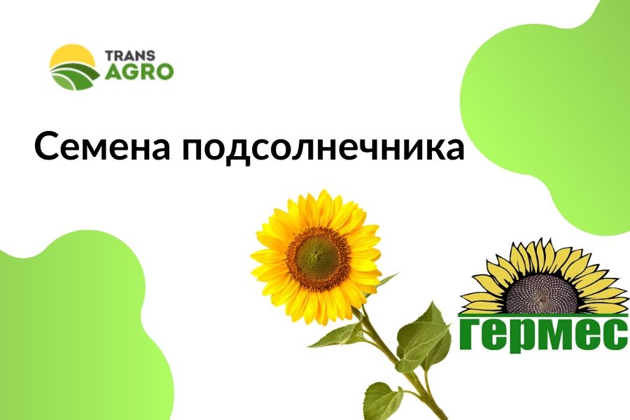 купить семена подсолнечника ТД Гермес