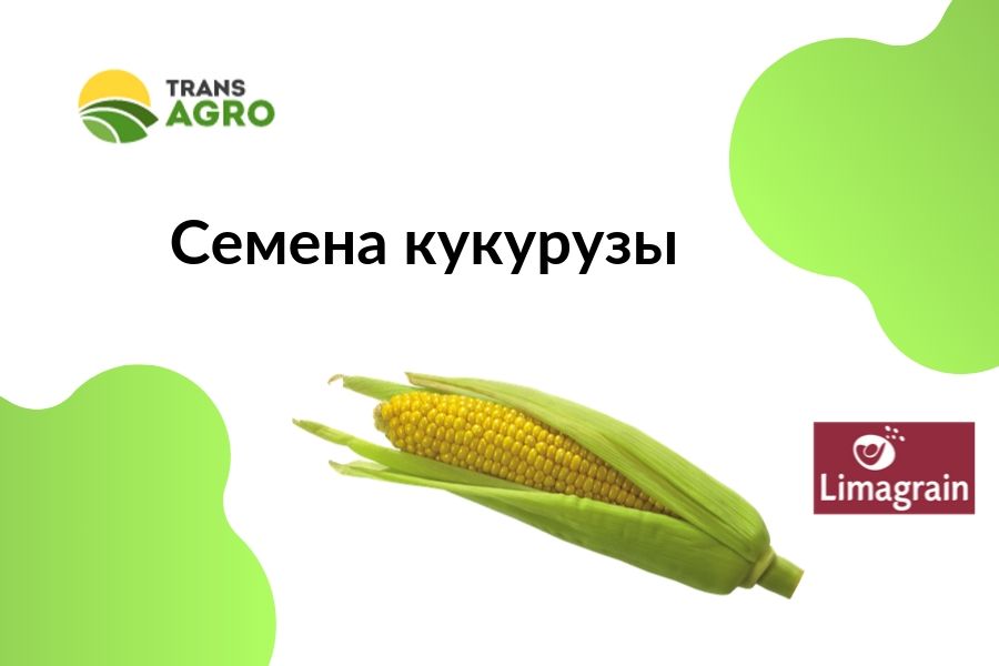 купить семена кукурузы Limagrain (Лимагрейн)