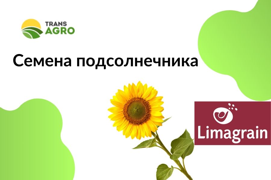 купить семена подсолнечника Limagrain (Лимагрейн)