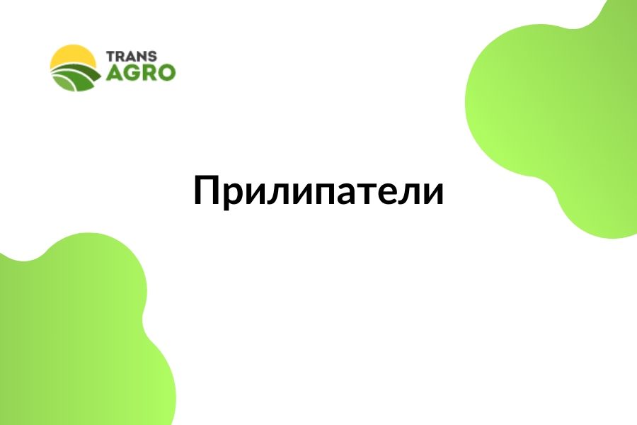 купить Прилипатели 