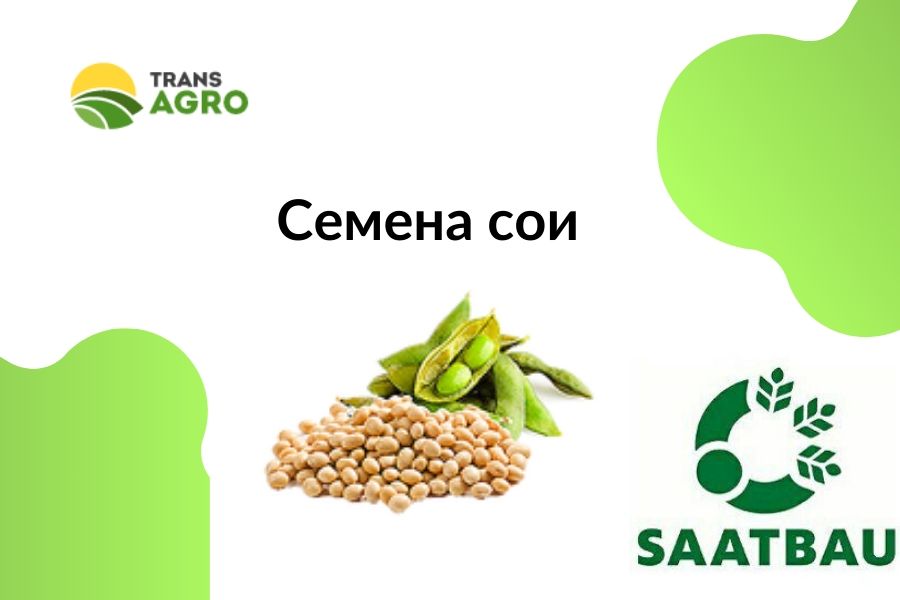 купить семена сои Saatbau (Заатбау)