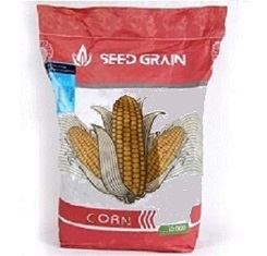 Семена кукурузы, Seed Grain, SG34N95, ФАО 350 (1)