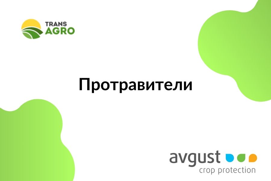 купить протравитель Август