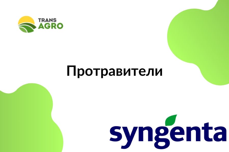 купить протравитель Syngenta