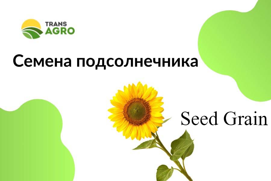 купить семена подсолнечника Seed Grain (Сид Греин)