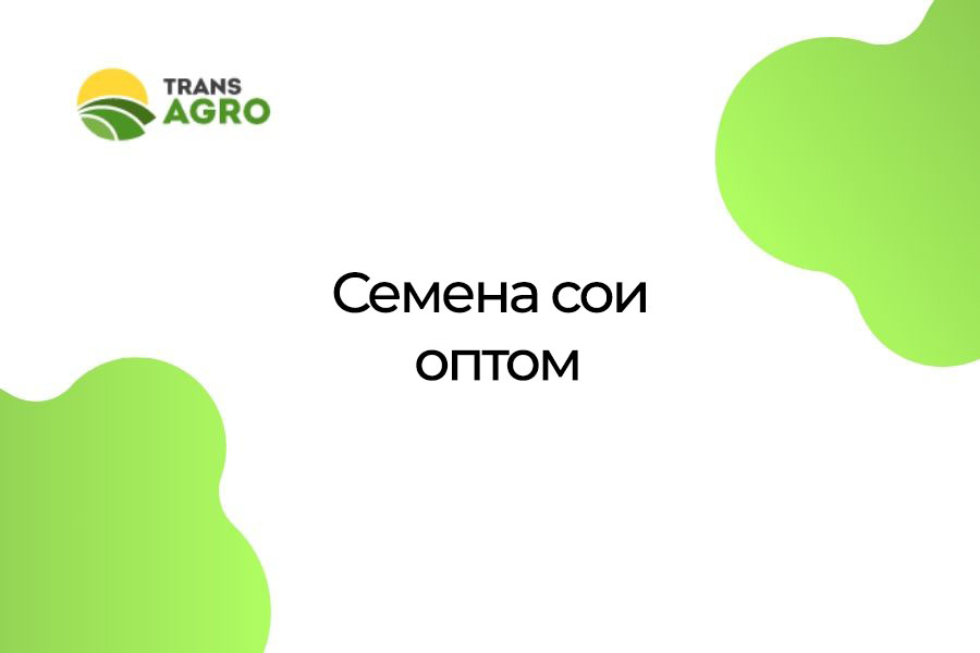 купить семена сои оптом цена