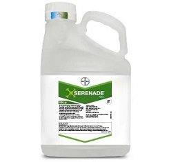 Фунгицид, Bayer, Серенада1