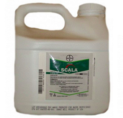 Фунгицид, Bayer, Скала 1