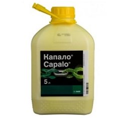 Фунгицид, Basf, Капало1