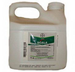 Фунгіцид, Bayer, Скала 1