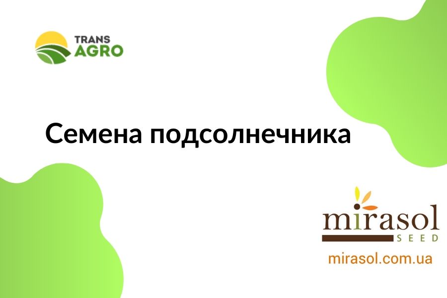 купить семена подсолнечника Mirasol Seed (Мирасол Сид)