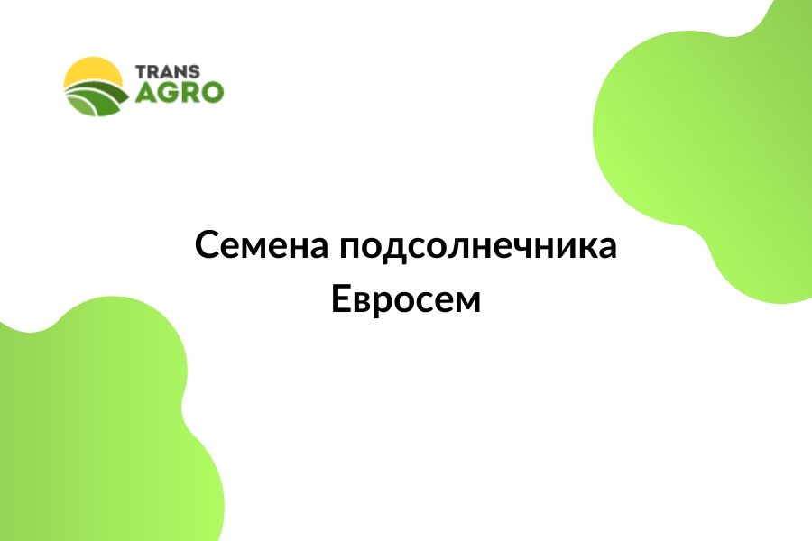 купить семена подсолнечника Евросем
