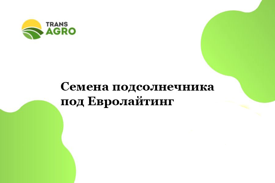 купить семена подсолнечника под Евролайтинг