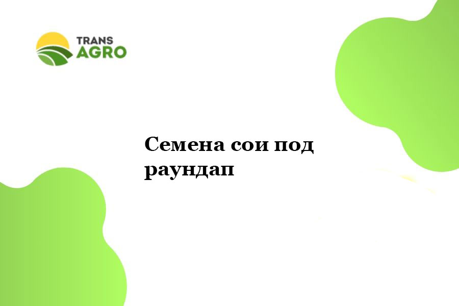 купить Семена сои под раундап