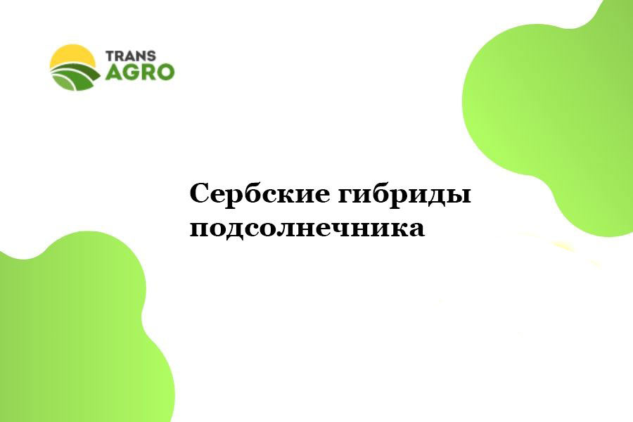 купить Сербские гибриды подсолнечника