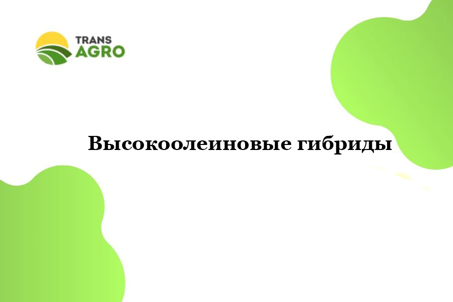 купить высокоолеиновые гибриды