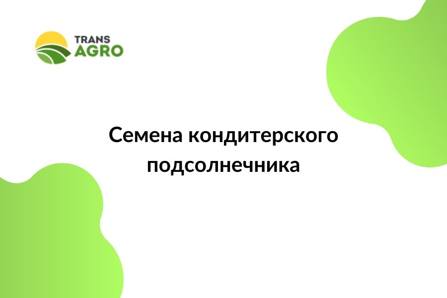 купить семена кондитерского подсолнечника