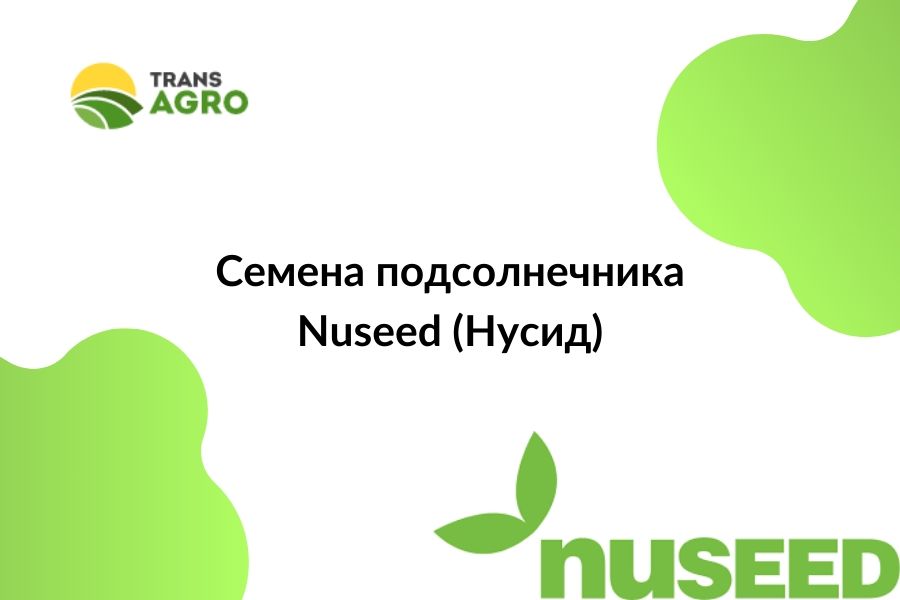 купить семена подсолнечника Nuseed 