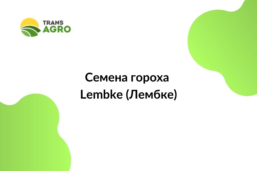купить семена гороха Lembke (Лембке)