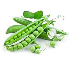 Семена гороха, RWA, Лессна купить