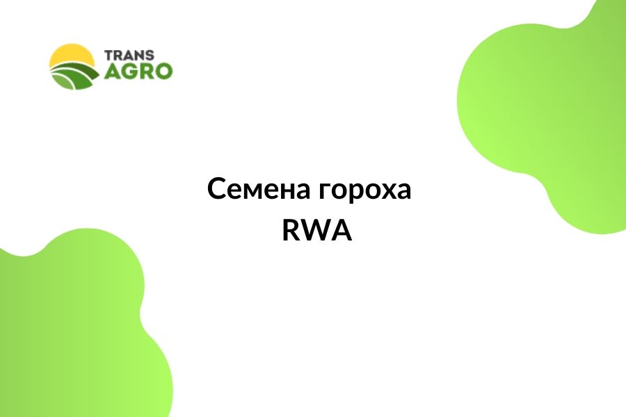 купить семена гороха RWA