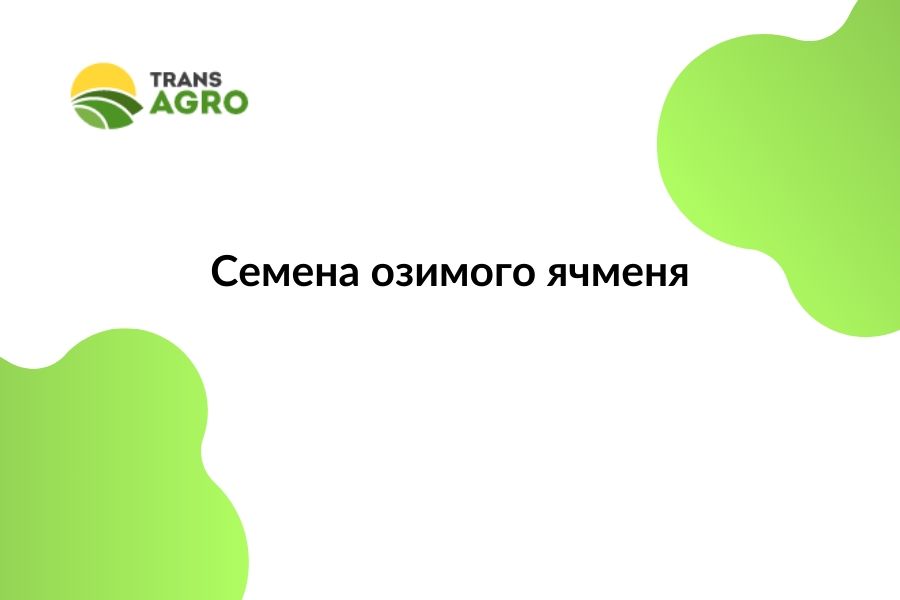 купить семена озимого ячменя