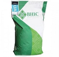 Семена подсолнечника, ВНИС, Евро, под евролайтинг купить