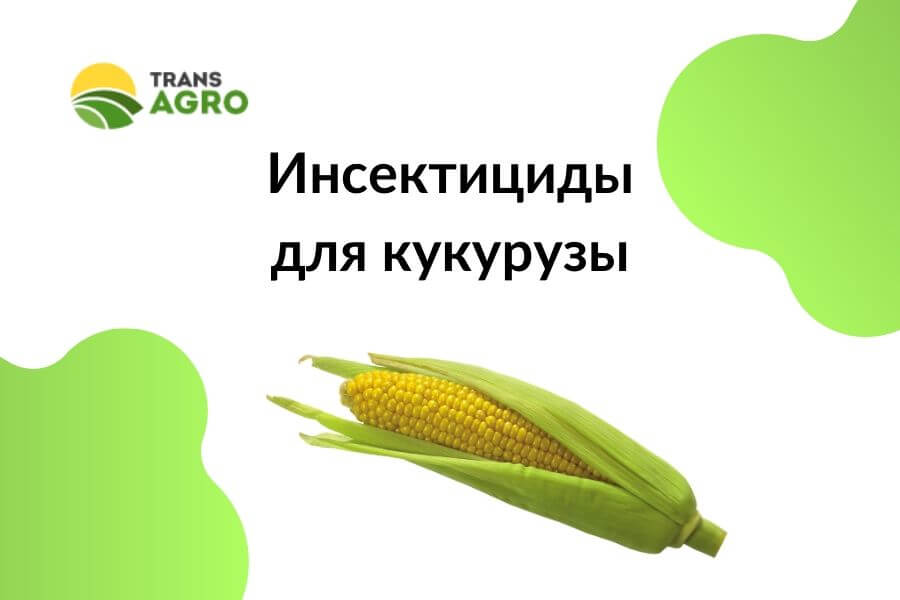 купить Инсектициды для кукурузы