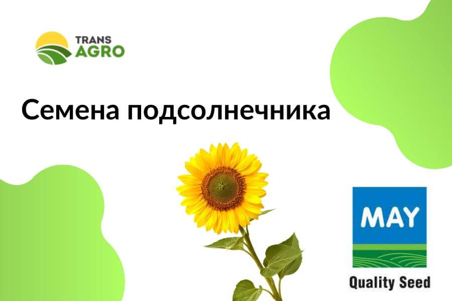 купить семена подсолнечника mayseed