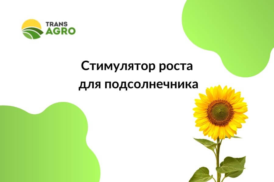 купить стимулятор роста для подсолнечника