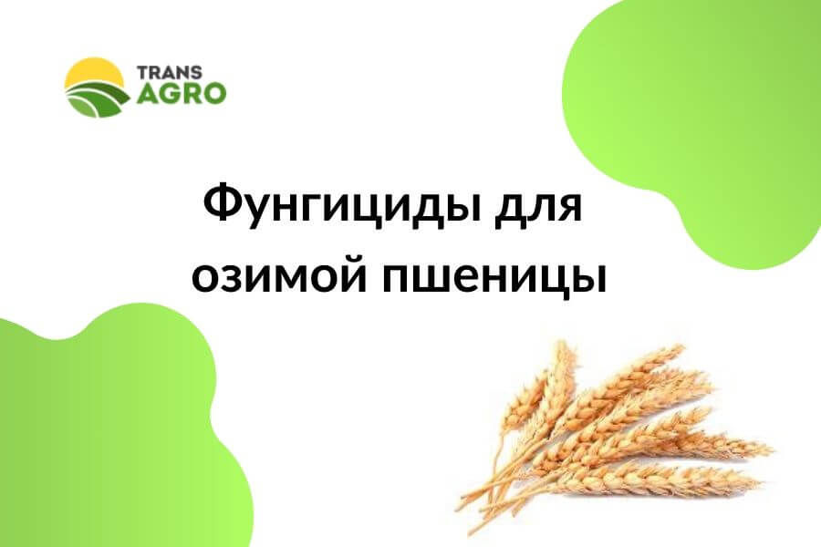 купить фунгициды для озимой пшеницы в днепре