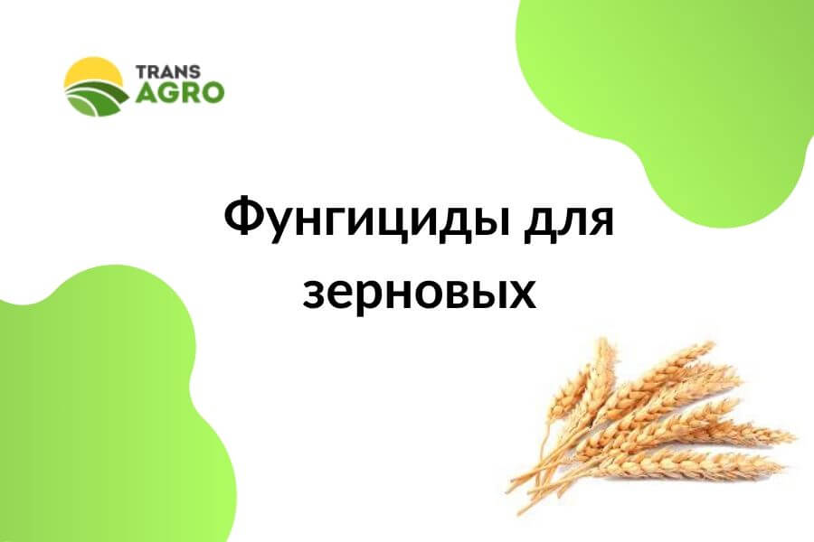 купить фунгициды для зерновых в украние