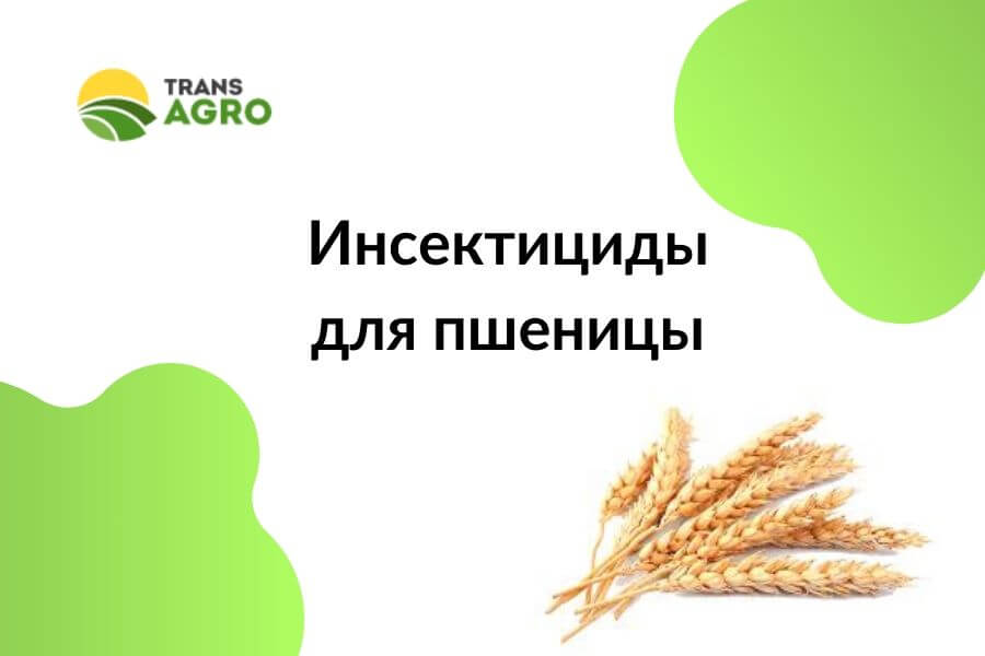 купить инсектициды для пшеницы
